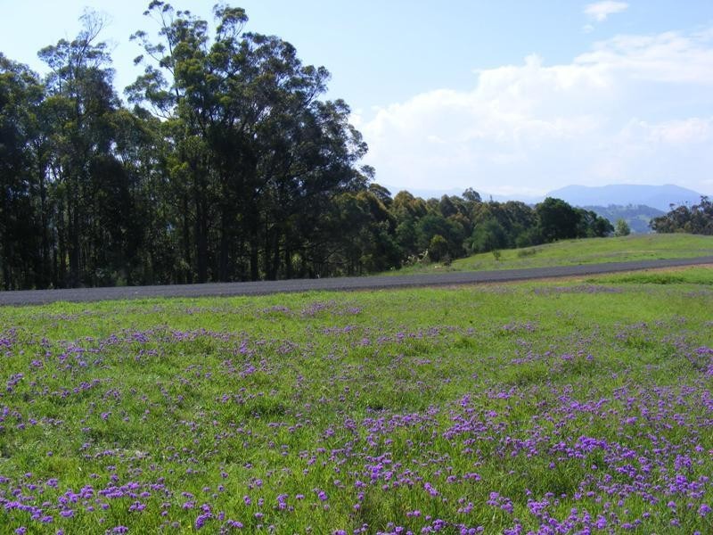 Lots A, B, C, E, G Newpark Road, Brogo NSW 2550