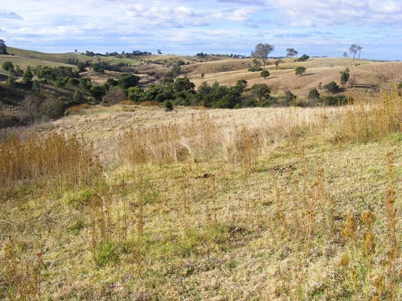 297 Tantawangalo Mt Road, Candelo NSW 2550