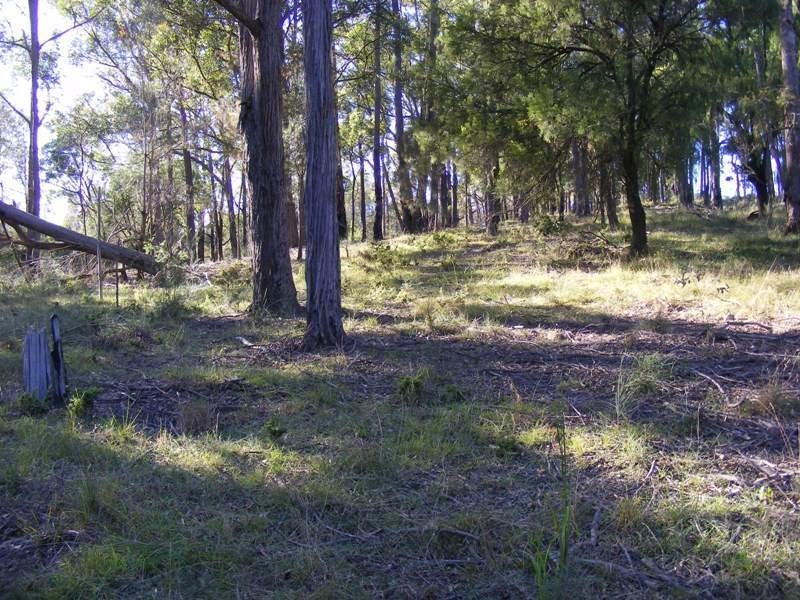 Lot 116 Reedy Swamp Road, Tarraganda NSW 2550