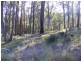 Lot 116 Reedy Swamp Road, Tarraganda NSW 2550