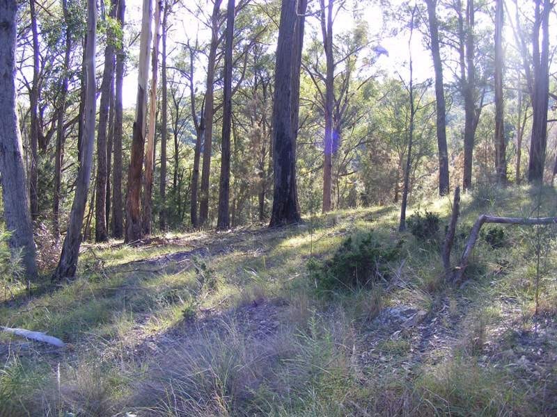 Lot 116 Reedy Swamp Road, Tarraganda NSW 2550