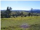612 Peak Hill Road, Buckajo NSW 2550