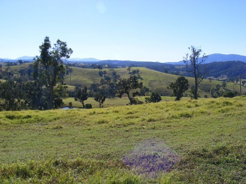 612 Peak Hill Road, Buckajo NSW 2550