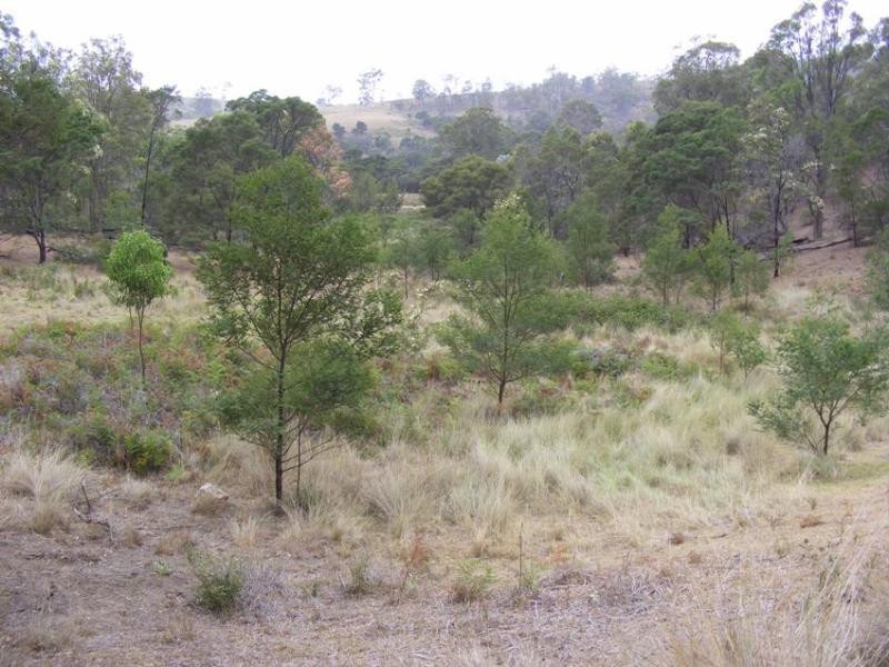 1501 Myrtle Mountain Road, Candelo NSW 2550