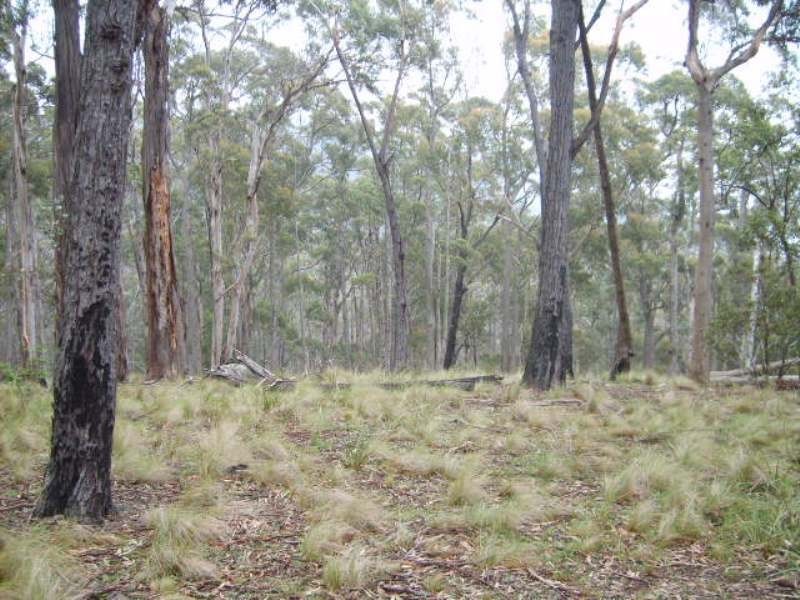 220 Moreings Road, Candelo NSW 2550