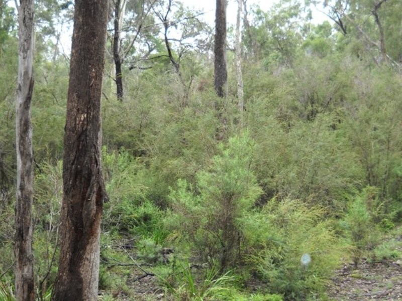 Lot 130 Fulligans Road, Pericoe NSW 2550