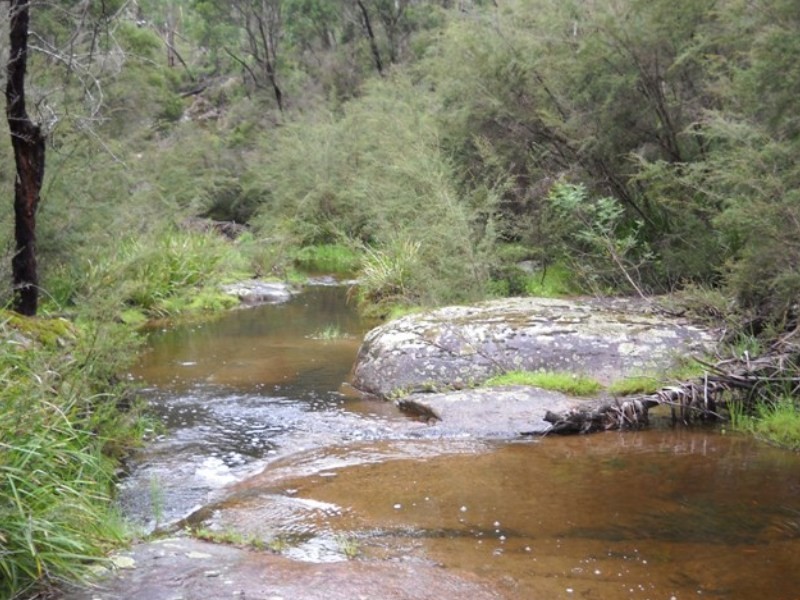 Lot 130 Fulligans Road, Pericoe NSW 2550