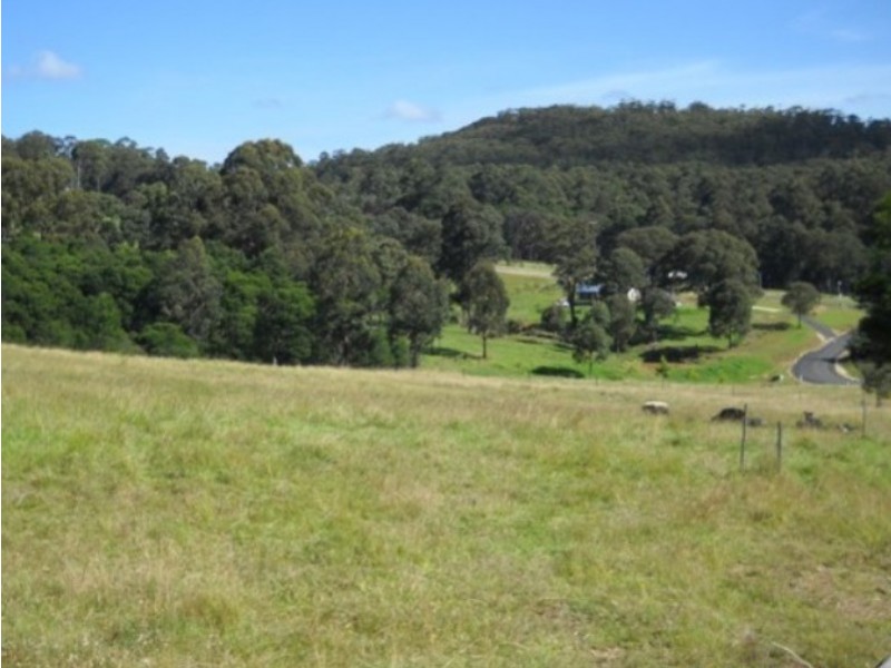 965 Back Creek Road, Nethercote NSW 2549