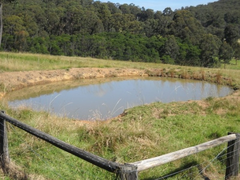 965 Back Creek Road, Nethercote NSW 2549