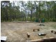 226  Mount Darragh Road, Wyndham NSW 2550