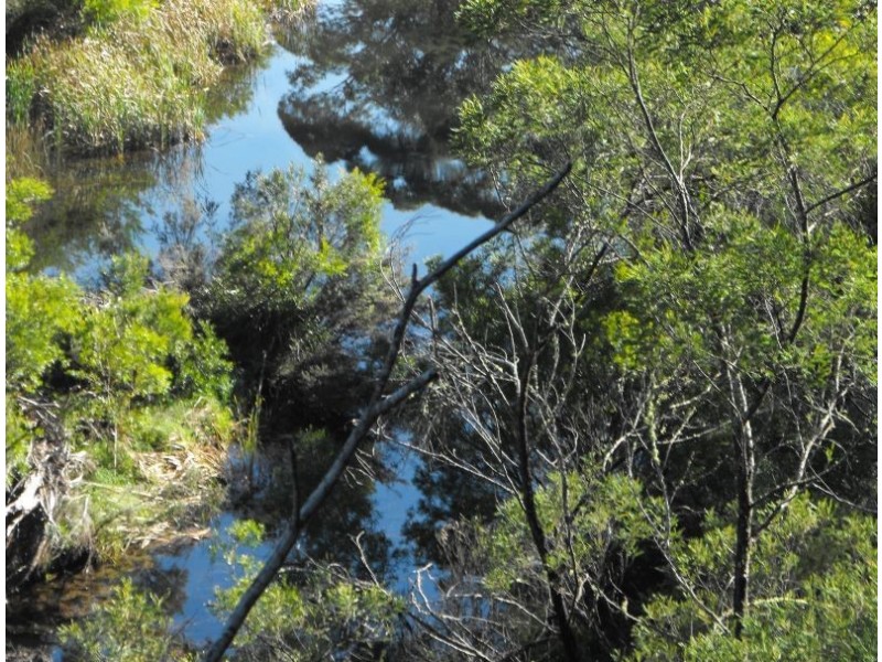 708 New Buildings Road, Wyndham NSW 2550