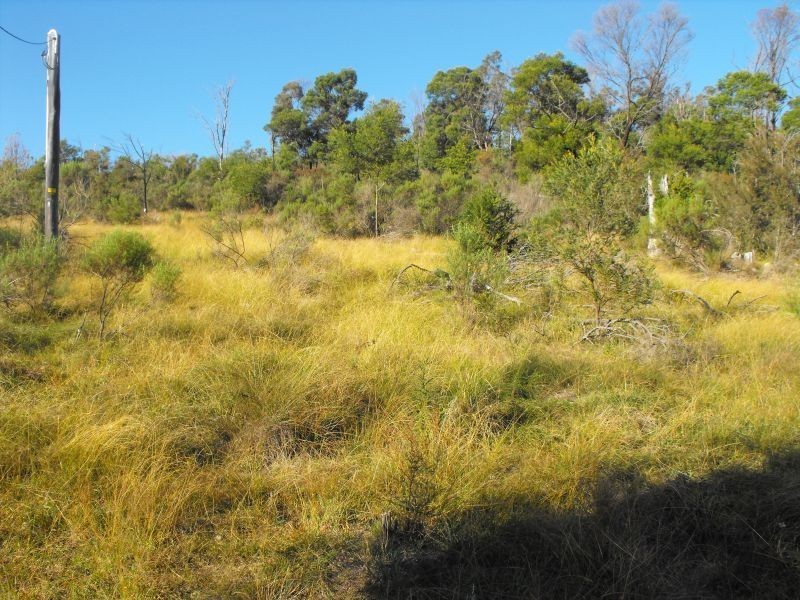 708 New Buildings Road, Wyndham NSW 2550