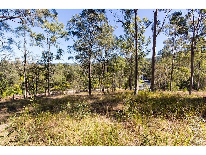 157 Crane Crescent, Nerang QLD 4211