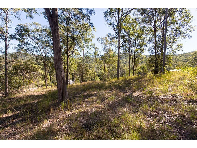 157 Crane Crescent, Nerang QLD 4211