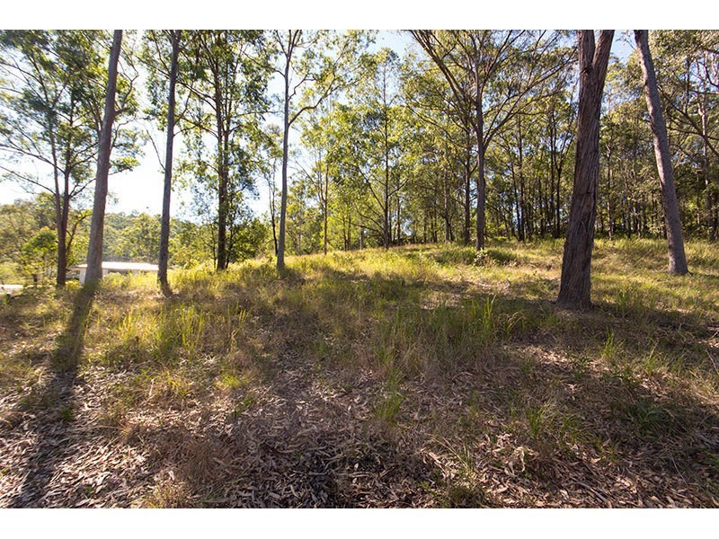 157 Crane Crescent, Nerang QLD 4211