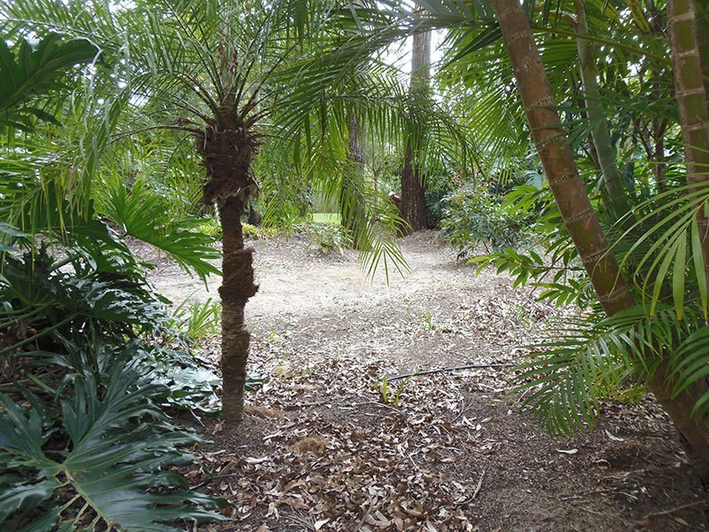 5/402 Pine Ridge Road, Coombabah QLD 4216