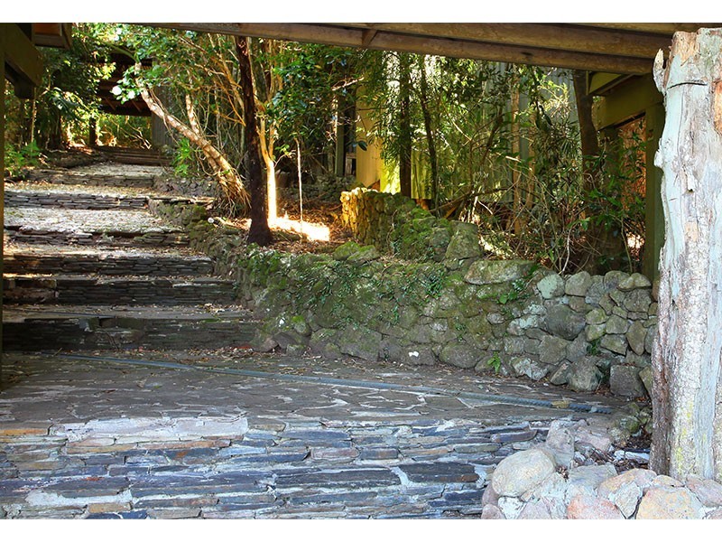 76 Repeater Station Road, Springbrook QLD 4213