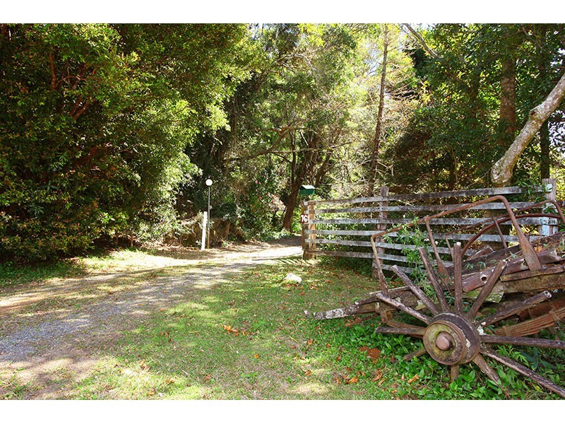 76 Repeater Station Road, Springbrook QLD 4213