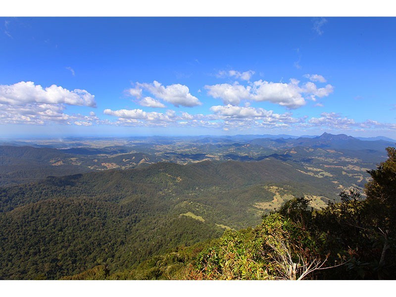 76 Repeater Station Road, Springbrook QLD 4213