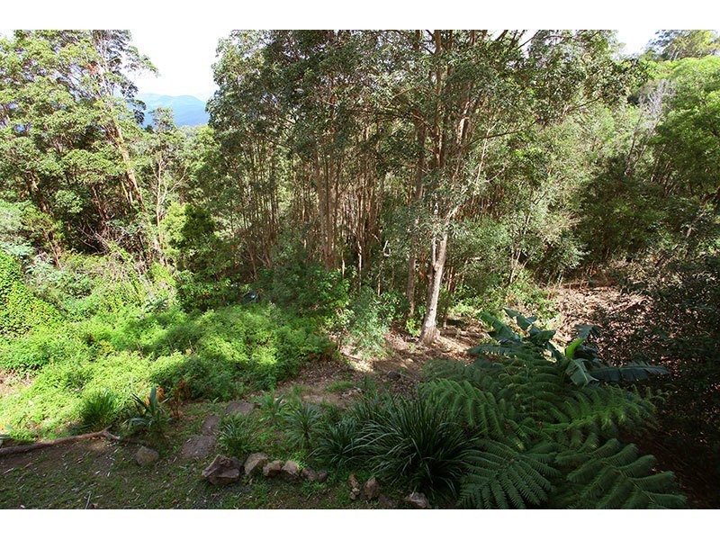 641 Beechmont Road, Lower Beechmont QLD 4211