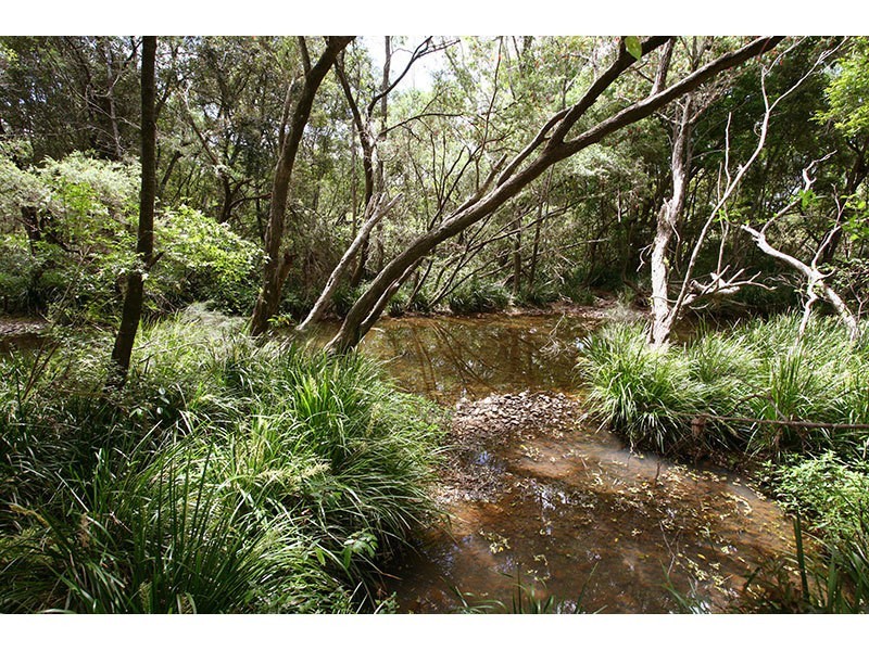 728 Beaudesert Nerang Road, Mount Nathan QLD 4211