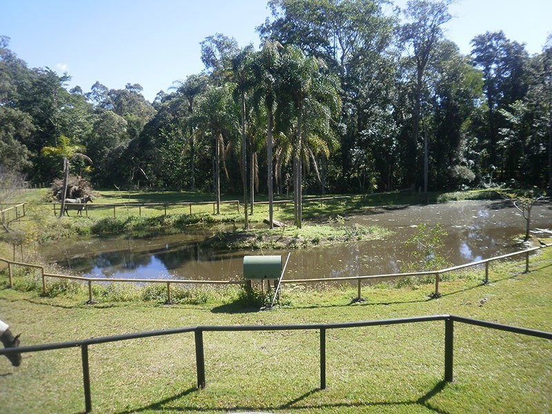 341b  Beaudesert Nerang Road, Nerang QLD 4211