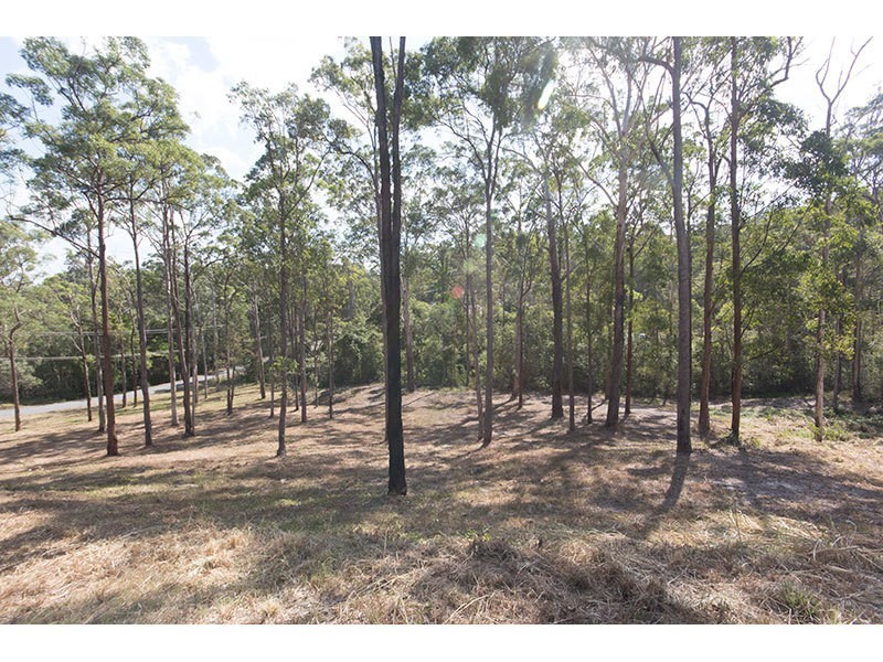 7 Matilda Road, Gaven QLD 4211