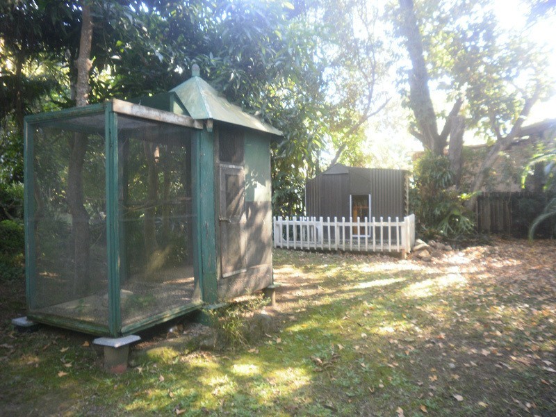 10 Baloo Street, Nerang QLD 4211