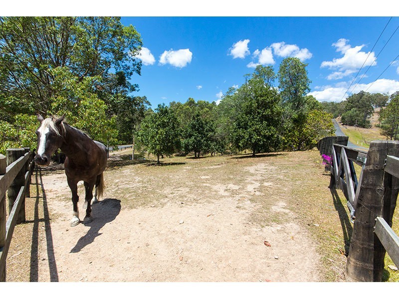 41 Purcell Road, Guanaba QLD 4210