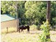 97 Mystery Road, Guanaba QLD 4210