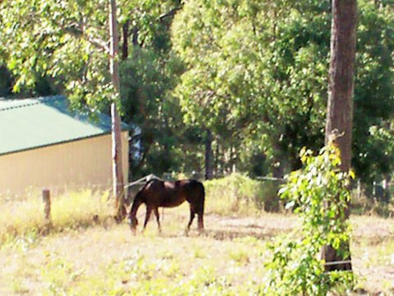 97 Mystery Road, Guanaba QLD 4210