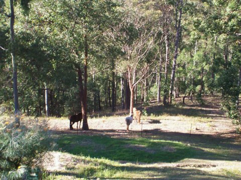 97 Mystery Road, Guanaba QLD 4210