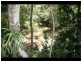 2311a  Springbrook Road, Springbrook QLD 4213