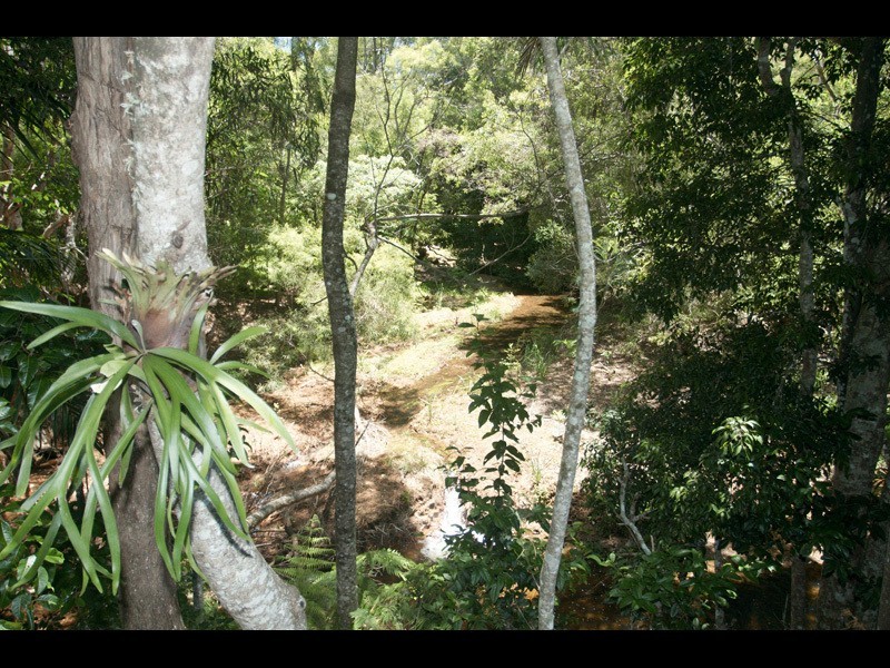 2311a  Springbrook Road, Springbrook QLD 4213