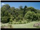 2311a  Springbrook Road, Springbrook QLD 4213