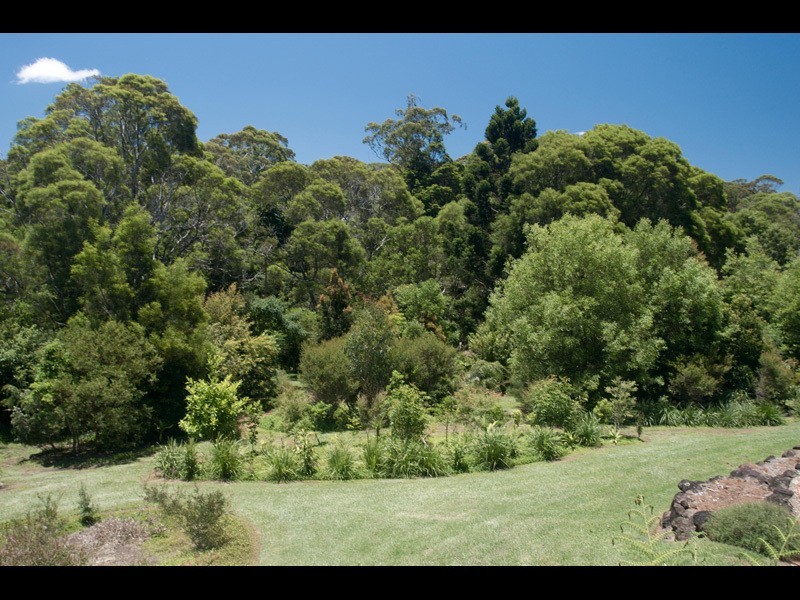 2311a  Springbrook Road, Springbrook QLD 4213