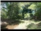 2311a  Springbrook Road, Springbrook QLD 4213