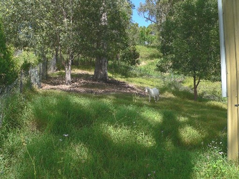 42 Pademelon Pass, Nerang QLD 4211