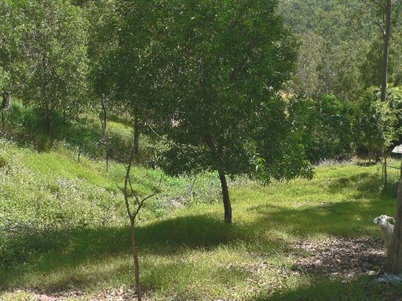 42 Pademelon Pass, Nerang QLD 4211