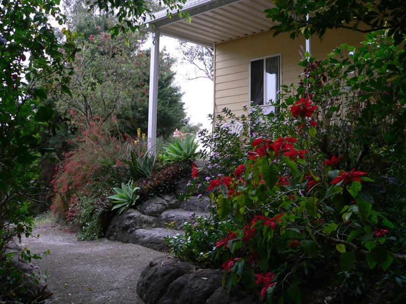 42 Pademelon Pass, Nerang QLD 4211