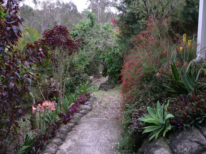 42 Pademelon Pass, Nerang QLD 4211