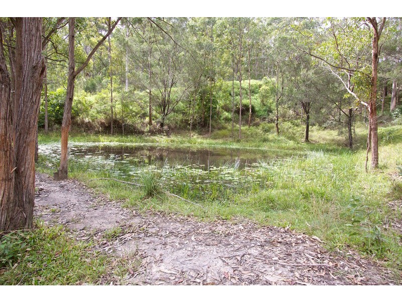 17 Parkway Drive, Advancetown QLD 4211