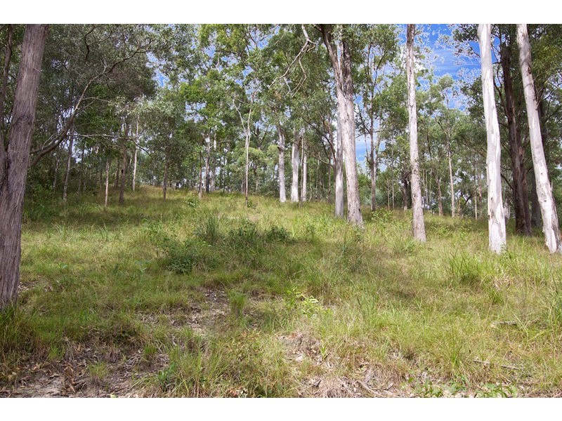 17 Parkway Drive, Advancetown QLD 4211