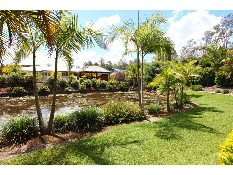 46 Pasture Place, Mount Nathan QLD 4211