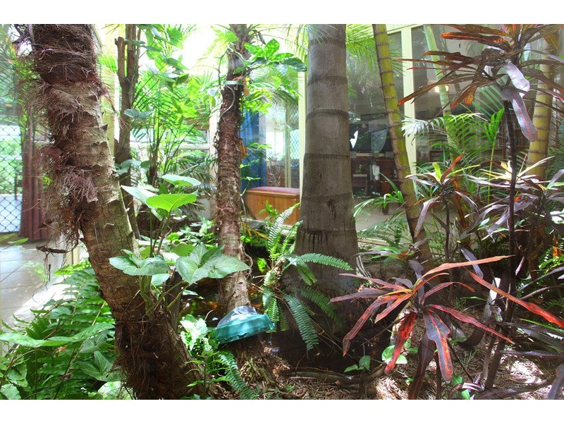 1 Malao Rise, Pacific Pines QLD 4211