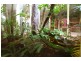 1 Malao Rise, Pacific Pines QLD 4211