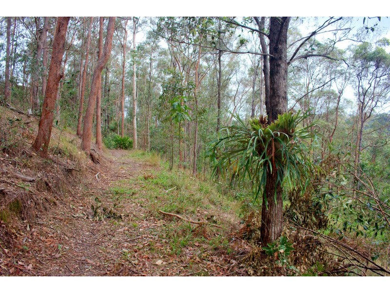 560 Gilston Road, Gilston QLD 4211