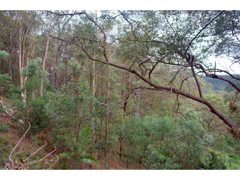 560 Gilston Road, Gilston QLD 4211