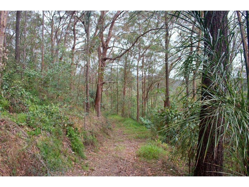 560 Gilston Road, Gilston QLD 4211