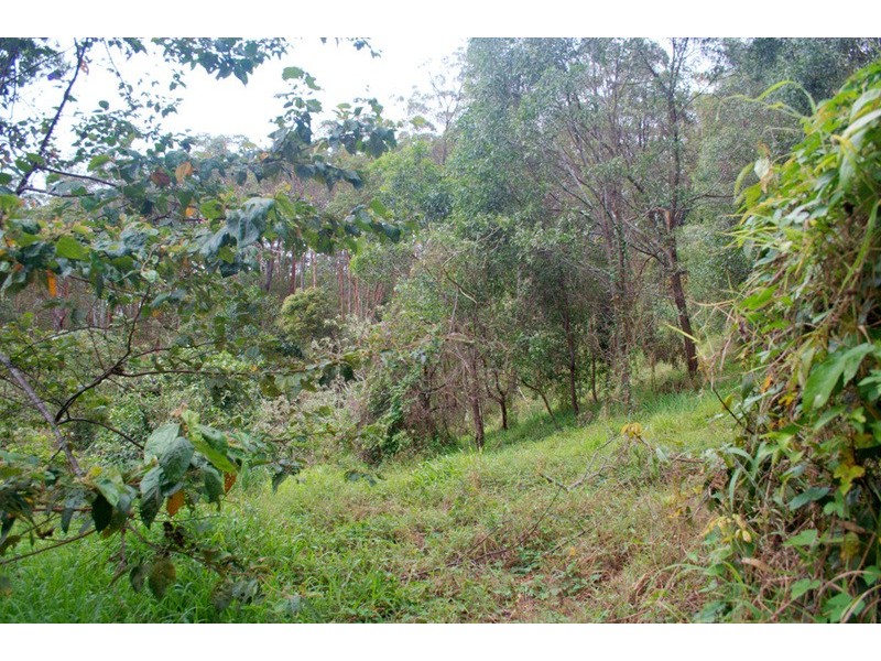 560 Gilston Road, Gilston QLD 4211